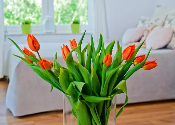 Aqua Beach#pool#sauna#jacuzzi No Limit Apartament Kołobrzeg